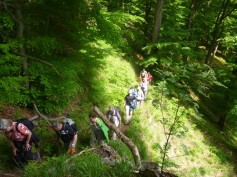 Aufstieg nach Schwakbenthal