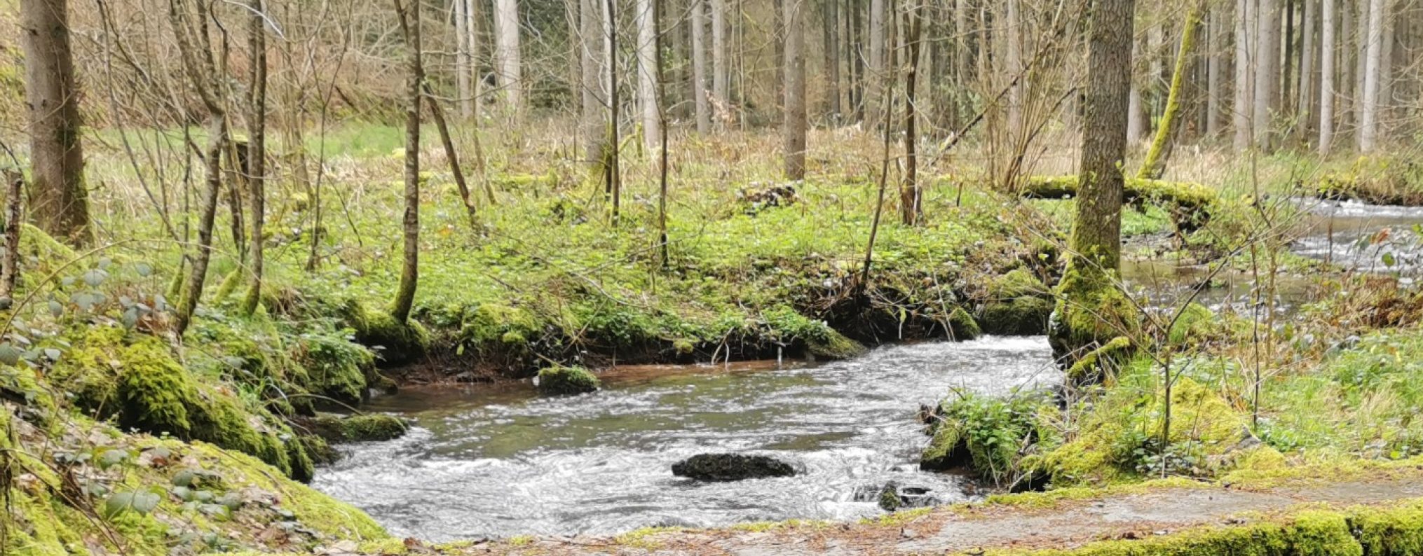 Schwäbischer Albverein | Ortsgruppe Bad Friedrichshall