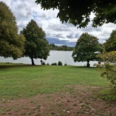 Losheimer See