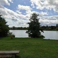 Losheimer See